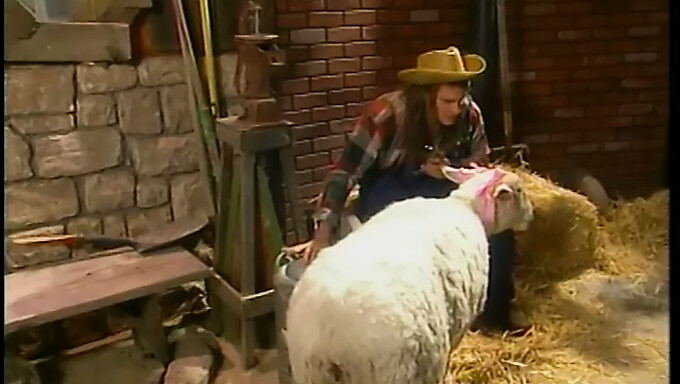 Rondborstige Meid Met Staartjes Geniet Van Anale Seks En Van Achteren In Een Buitenomgeving