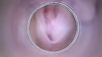 La Piccola Bruna Mostra Il Suo Collo Dell'Utero Secco Durante Un Gioco Da Sola