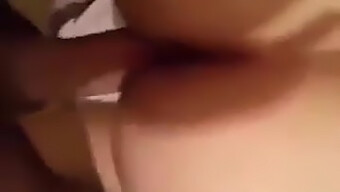 Arabic Tits And Algerian Tits Collide In This Hot Video