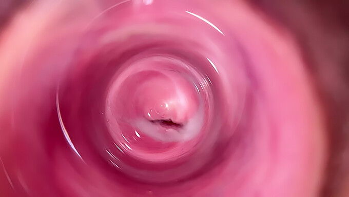 Sensual Close-Up Of Mia'S Tight And Creamy Pussy