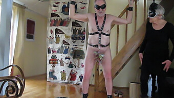 Cbt With Clothpins And Whips In Bdsm House